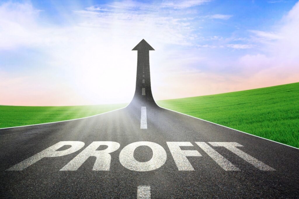 Strategic Growth Paths for Startups With Partners