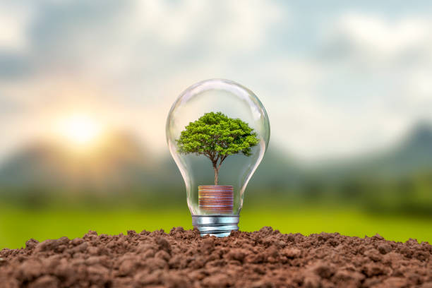 How to Raise a Pre-Seed Round Without Traction | Foundersmax How to Raise a Pre-Seed Round Without Traction
